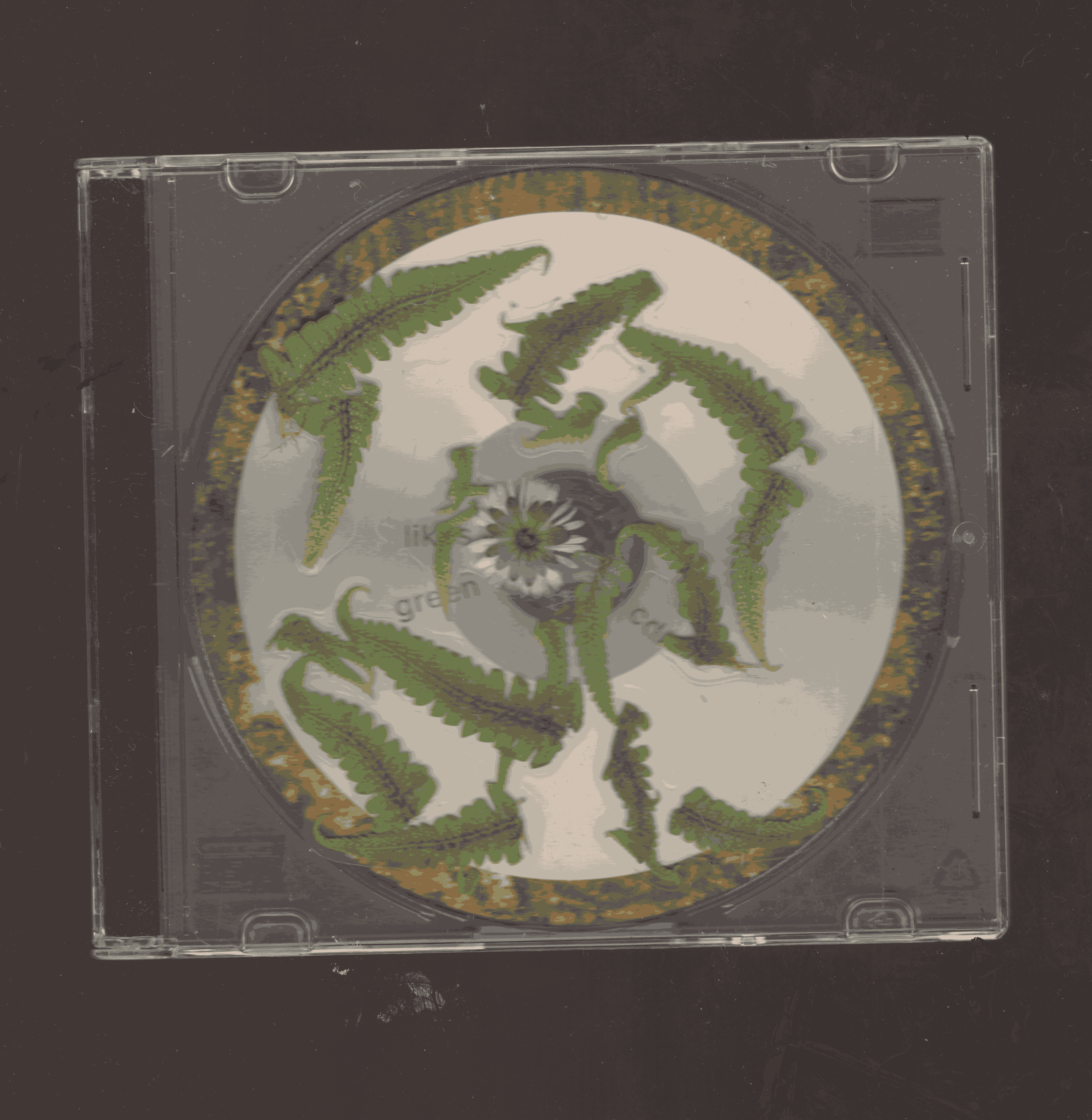 The cover for It likes green. CD.